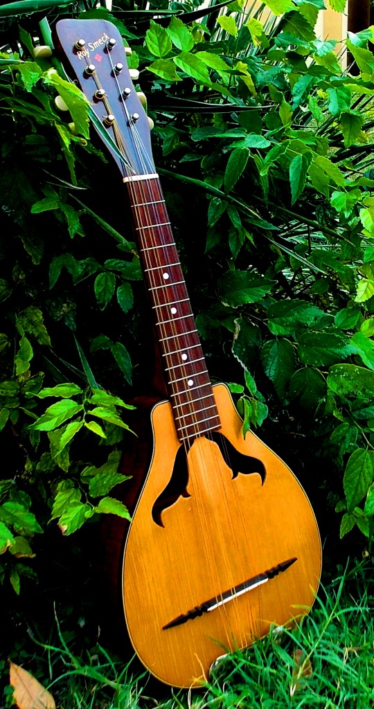 Roy Smeck Vita Mandolin from the early 1930s. adirondack spruce and Cuban mahogany. 100% original, plays and sounds great. $1,400.00