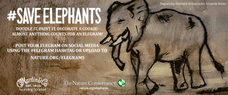 elephantHeaderv2