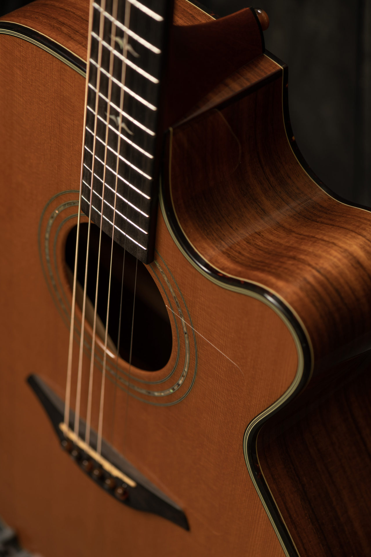 Other Acoustic Guitars | Guitar Tex: The Best Little Guitar Shop in Texas